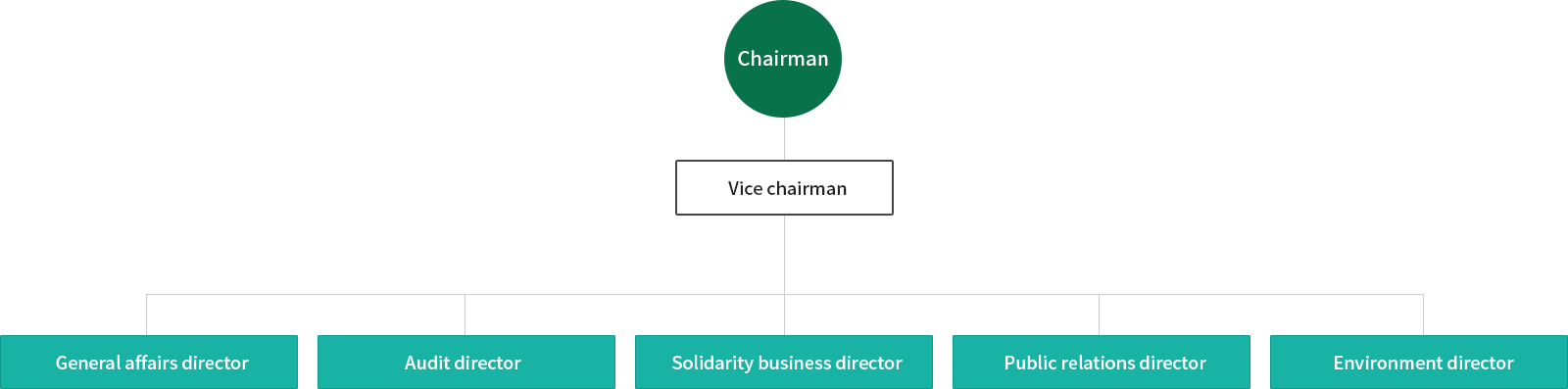chairman vice chairman , general affairs director, audit director, solidarity business director, public relations director, environment director